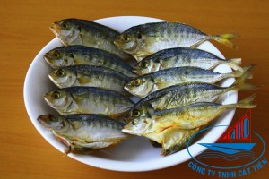  Dried yellow tail scad