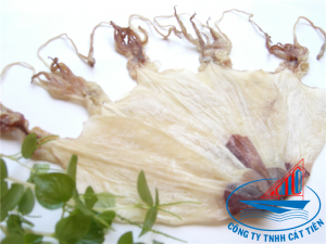 Dried Squid