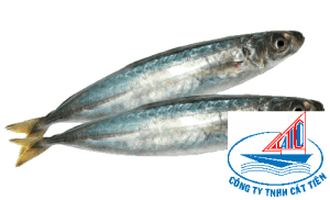 Layang scad fish
