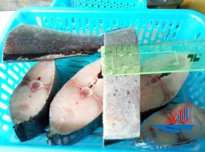 Mahi Mahi Steak