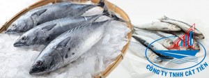 Bonita Fish
