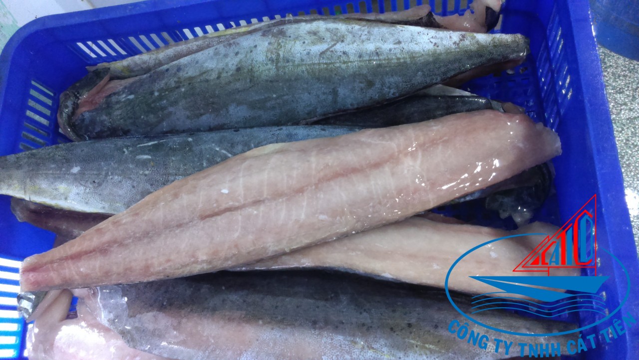 Mahi Mahi Fillet