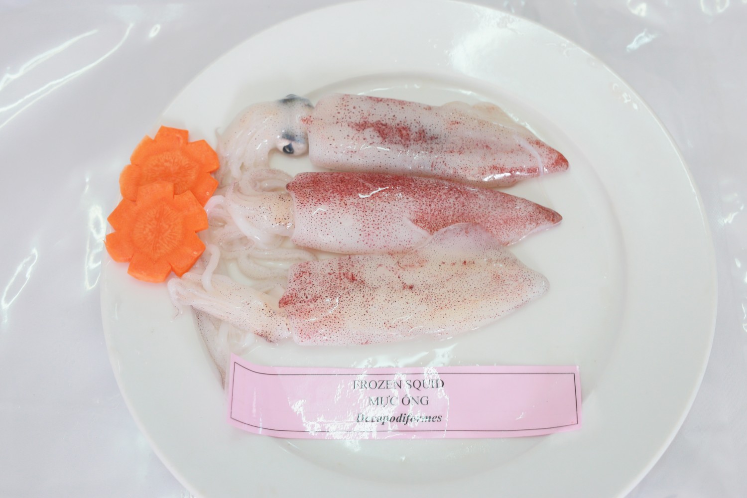 Squid