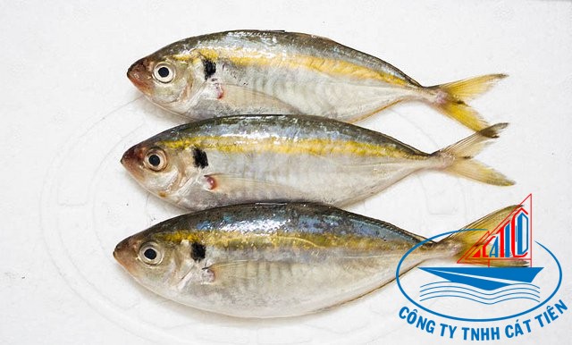 Yellow stripe trevally Fish