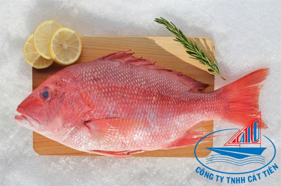 Red snapper