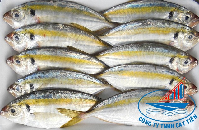 Yellow stripe trevally Fish