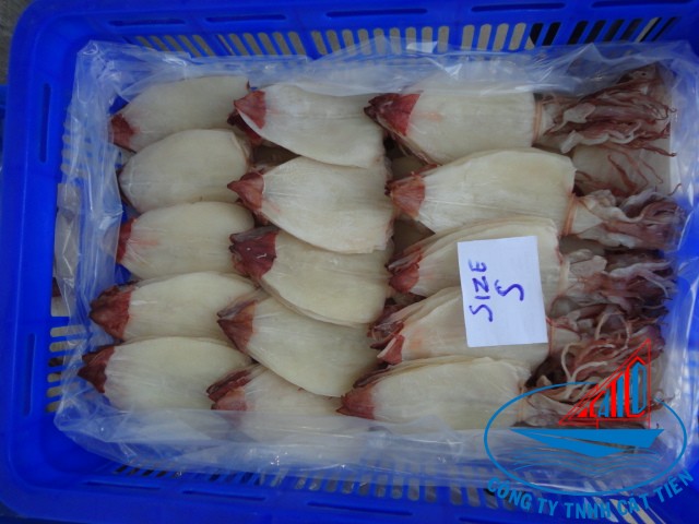 Dried Squid