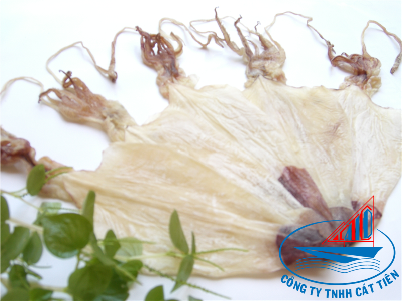 Dried Squid