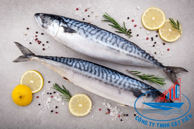 Wahoo Fish Whole round   